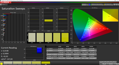 CalMAN - Color Saturation (calibrated)