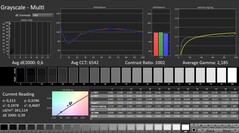 CalMAN: Grayscale (calibrated)