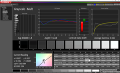 Grayscale before calibration (main display)