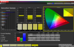 CalMAN Saturation