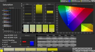 CalMan saturation (target color space: sRGB)