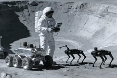 Chinese engineers consider that robotic dogs on the Moon could assist astronauts.