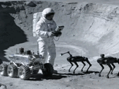 Chinese engineers consider that robotic dogs on the Moon could assist astronauts.