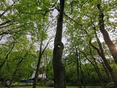 Huawei P30 | Wide-angle mode