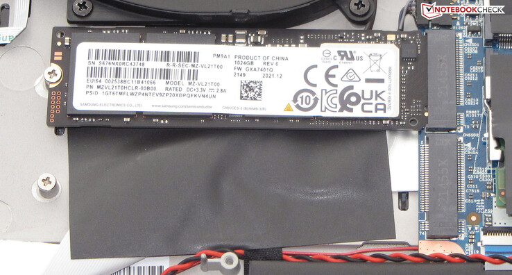 The X30 can accommodate two SSDs.