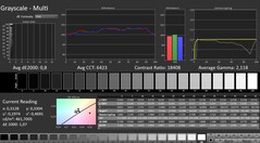 CalMAN: grayscale (calibrated)