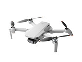 A successor to the Mini 2 may not be the only device DJI releases in 2022. (Image source: DJI)
