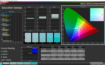 CalMAN Saturation (sRGB color space)