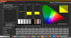 CalMAN - Color Checker (calibrated)