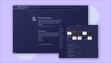 Vivaldi 3.3 new Private theme (Source: Vivaldi Browser)