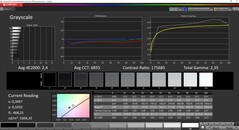 CalMAN Grayscale Vivid app maximum brightness (target color space DCI-P3)