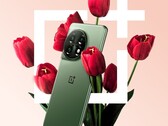 The OnePlus 11. (Source: OnePlus)