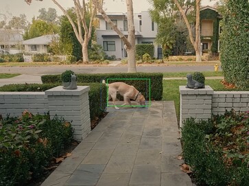 The new feature can use AI to track and locate pets in a neighborhood