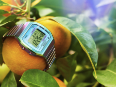 The Timex 80 36mm (pictured) with a stainless steel expansion band watch. (Image source: Timex)