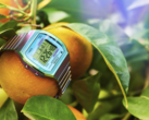 The Timex 80 36mm (pictured) with a stainless steel expansion band watch. (Image source: Timex)