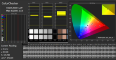 Calman Color Checker calibrated