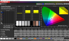 CalMAN ColorChecker (target color space P3)