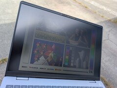 Outdoors under shade
