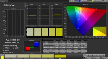 Color saturation (target color space: sRGB, profil: natural)