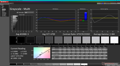 Grayscale before calibration (P3)