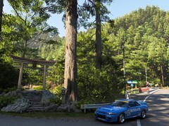 A screengrab showing Forza Horizon 6's rendering of a Japanese landmark