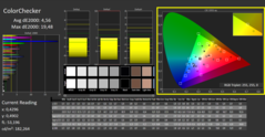 CalMAN - ColorChecker (calibrated)