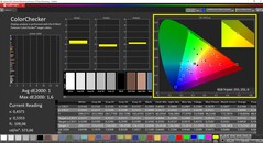 CalMAN ColorChecker (target color space DCI-P3)