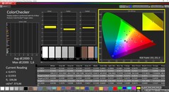 CalMAN ColorChecker (target color space DCI-P3)