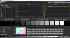 CalMAN Grayscale calibrated (target color space P3)