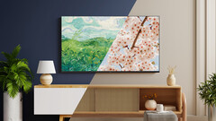 Backdrops turns Roku TVs into a Samsung The Frame TV (Image source: Roku)