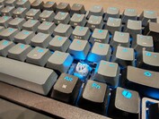 Both the keycaps and the switches can be replaced. (Image source: Notebookcheck)