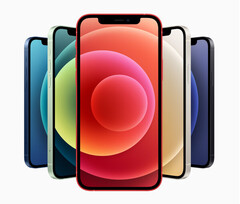 The iPhone 12 has been found to emit more radiation than it should when placed in a pocket. (Image source: Apple)