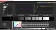 CalMAN grayscale (TrueColor profile: Display-P3)