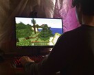 The image shows a person playing Minecraft on a PC