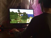The image shows a person playing Minecraft on a PC 