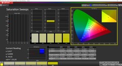 CalMAN Saturation (calibrated)