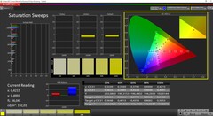 CalMAN - Saturation calibrated