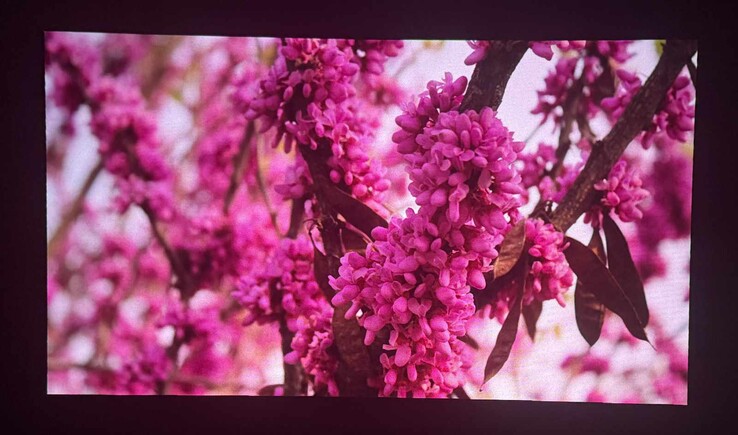 Examples of image quality (darkened room, high-contrast screen, photographed with an iPhone 16 Pro)