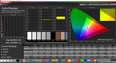 CalMAN ColorChecker calibrated