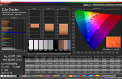 CalMAN: ColorChecker - sRGB mode