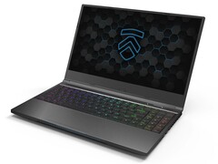 Finally, Nvidia Advanced Optimus laptops are now shipping (Source: Eluktronics)