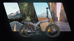 The X20. (Source: ENGWE)