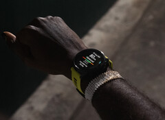 The Forerunner 965 remains Garmin's most expensive Forerunner smartwatch, at least for the time being. (Image source: Garmin)