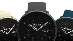Polar has already hinted at the Ignite 3&#039;s impending release, Ignite 2 pictured. (Image source: Polar)