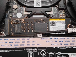 AMD model with M.2 2280 SSD