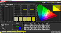 CalMAN: Saturation after calibration (AdobeRGB target color space)