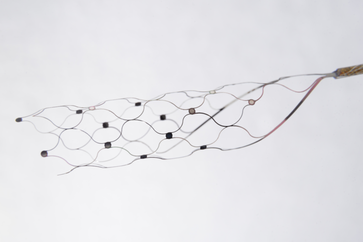 The Stentrode Endovascular Electrode Array is implanted in the blood vessel on the surface of the motor cortex of the brain via the jugular vein. (Image source: Synchron)