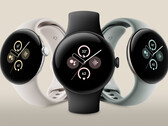 The Pixel Watch 2 in three of its four colour combinations. (Image source: @evleaks)