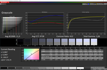 Grayscale (Target color space: sRGB; Profile: Professional, Standard)