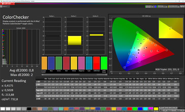 Color accuracy (color scheme Standard, color temperature Standard, target color space sRGB)